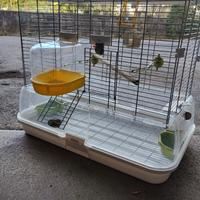 gabbia per uccelli vision