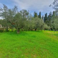 Terreno Edificabile - Caltagirone