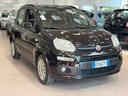 fiat-panda-1-2-pop