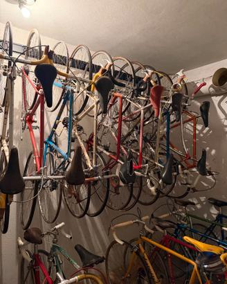 bicicletta patelli