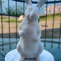Coniglio in gesso