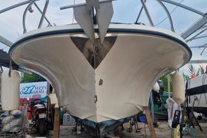 Mano marine 21.50 ali di gabbiano