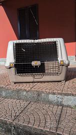 Trasportino MPS Skudo Car 100