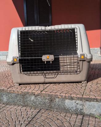 Trasportino MPS Skudo Car 100