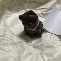 Gattino nero thun bauli