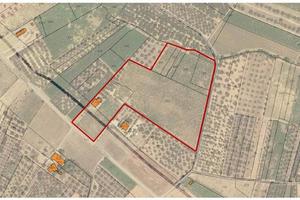 Terreno di 28581 m² a Mozzagrogna