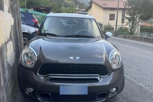 Mini countryman s