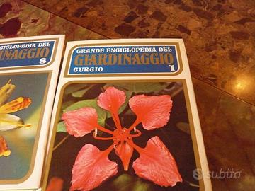 ENCICLOPEDIA  del GIARDINAGGIO