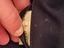 Immagine 3