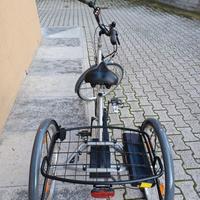 Bicicletta Pedalata Assistita