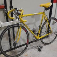 Bici Pinarello Vintage