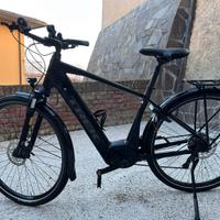 Trek Verve 3 +
