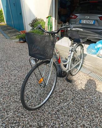 bicicletta donna 
