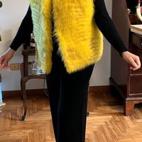 gilet di volpe