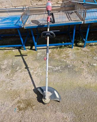 DECESPUGLIATORE ELETTRICO VALEX DE2700