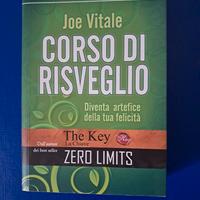 Corso di risveglio - Joe Vitale
