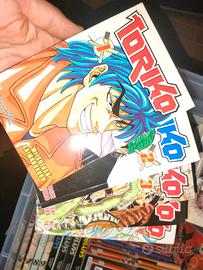 Manga TORIKO