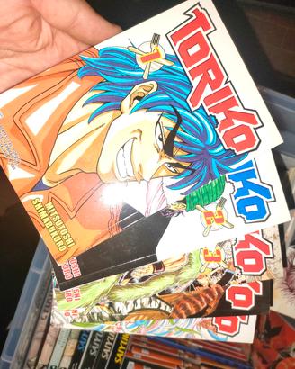 Manga TORIKO