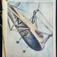 La Domenica del Corriere 25 giugno 1950 Verdi