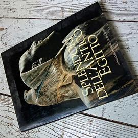 libro splendore dell'Antico Egitto