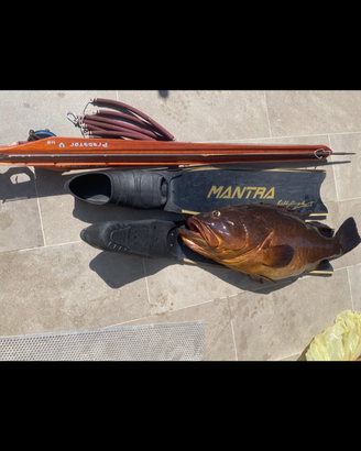 Seawolf Vela 115