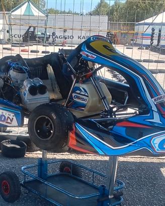 Kart kz125 oberon