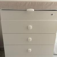 Fasciatoio CAM con vaschetta