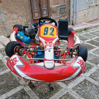 go kart Birel Art
