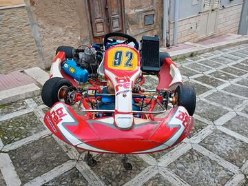 go kart Birel Art