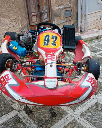 go kart Birel Art