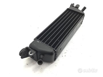 BMW R 850 RT ABS 850 RADIATORE OLIO 2002 2005 EX+P