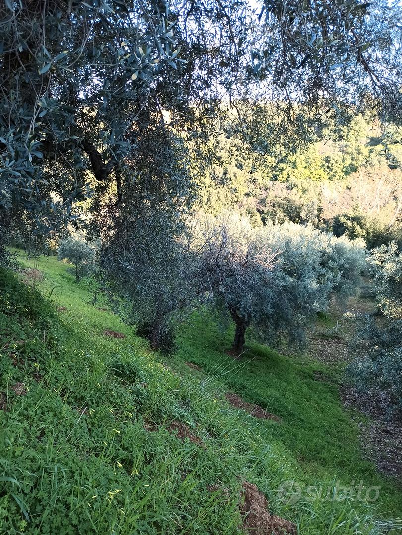 Terreno agricolo - Vista 3
