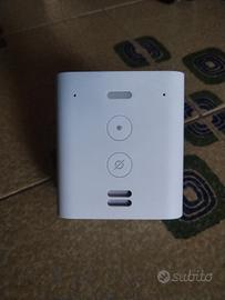 Echo Flex Amazon