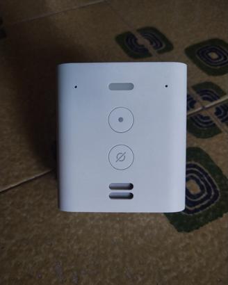Echo Flex Amazon