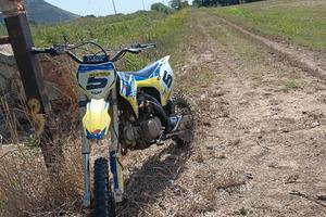 pit bike apollo 125 4t