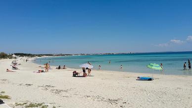 Monolocale nel verde a 7 m dal mare TORRE LAPILLO