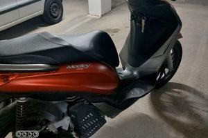 Paggio Medley 150
