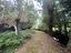 Immagine 19