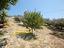 Immagine 28