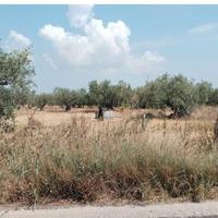 Tribunale di Marsala - RG 66/2025 Terreno in asta