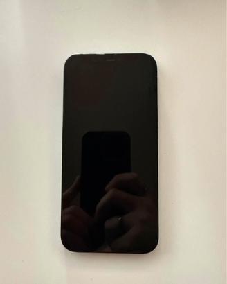 iPhone 12 Pro Max 256GB 100% della batteria