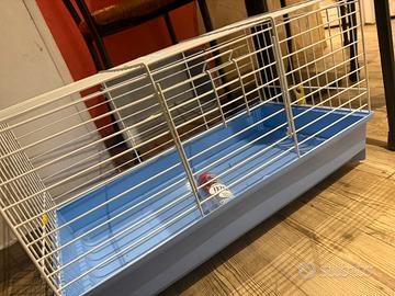 Trasportino + Gabbietta