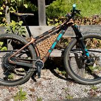 Santa Cruz Chamaleon