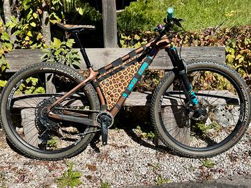 Santa Cruz Chamaleon