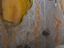 Immagine 23
