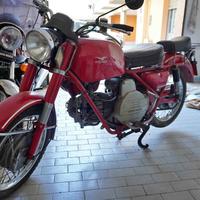 MOTO GUZZI SEIMM NF FALCONE N