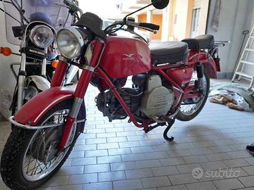 MOTO GUZZI SEIMM NF FALCONE N