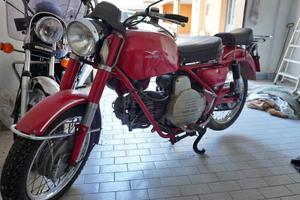 MOTO GUZZI SEIMM NF FALCONE N