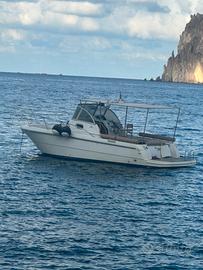 Barca Yanmar