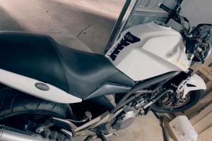 Raptor 1000